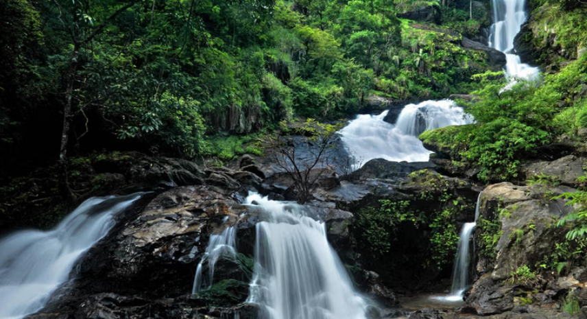 Plan Your Perfect Coorg Monsoon Getaway with FFD Travels